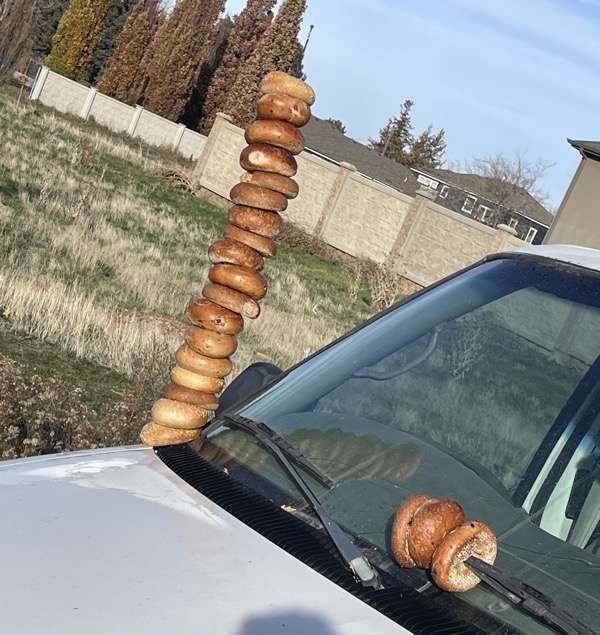 Random Run Things Random things I see on the run + Andrew update! - The Hungry Runner Girl